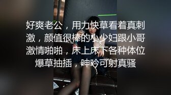 穿情趣内裤肉丝袜的大屁股老婆