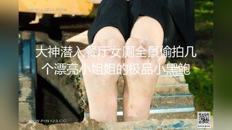 大神潜入餐厅女厕全景偷拍几个漂亮小姐姐的极品小黑鲍