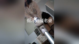 -麻豆传媒 MDSR0002-2《性工作者》EP2 AV女优的真情告白-夏晴子