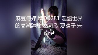 麻豆傳媒 MD0281 淫語世界的高潮體驗 秦可欣 夏晴子 宋南伊