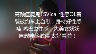 高颜值魔鬼TSVica  性感OL着装被约车上自慰，身材好性感哇 鸡巴也性感，大美女妖妖自慰呻吟射得 太好看啦！