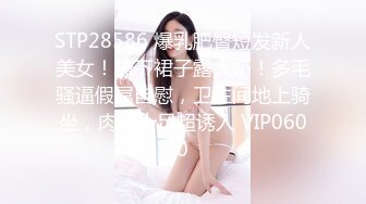 STP28586 爆乳肥臀短发新人美女！撩下裙子露大奶！多毛骚逼假屌自慰，卫生间地上骑坐，肉感十足超诱人 VIP0600