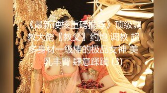   探花老王（李寻欢）网约销魂巨乳小姐姐，一整天没吃饭就开工被各种姿势草