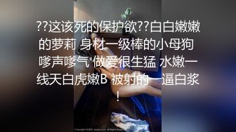 无T小骚货