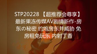 新流出安防酒店❤️精品偷拍✿喜欢打王者荣耀的气质型少妇被纹身哥后入