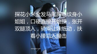 深夜跟甜美小少妇玩个车震，温柔的口交奶子不小玩个乳交，主动插入爆草下车后入深夜里的呻吟好刺激