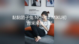 黏黏团子兔 NO.012 MIKU初音未来兔女郎