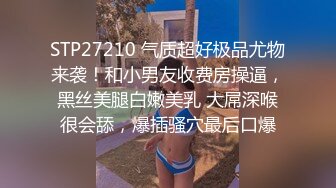 麻豆传媒 猫爪影像 MMZ009 欢愉情欲练习曲 胡心瑶