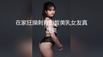 【2023，4K画质】2020.4.17，【赵总探花】，极品大胸外围，这奶子超赞，收藏版