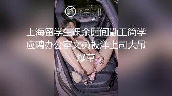 猎奇最美人妖系列张恩静12