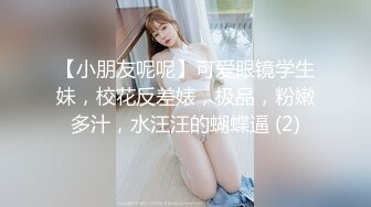 国产CD系列美艳伪娘小乔女仆装被羞耻玩弄嫩菊 坐骑鸡巴前后晃动搞的主人很是舒服