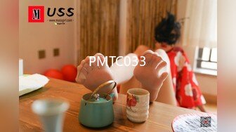 PMTC033