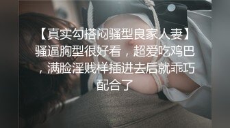 母犬调教 贤妻女仆的极致服务