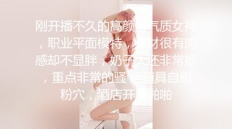 天美传媒 TMW08 《巨乳女友的圣诞惊喜》好久不见的情侣