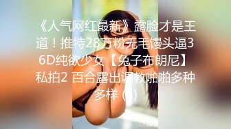 「汝工作室」华裔小伙干洋妞 金发婊子找了两名亚裔维修工修理电视没料到自己被修理了