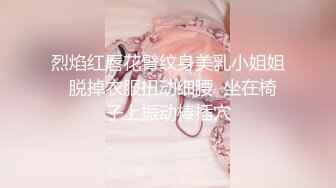 烈焰红唇花臂纹身美乳小姐姐  脱掉衣服扭动细腰  坐在椅子上振动棒插穴