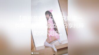 小N球 (52)