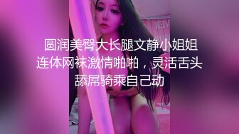  圆润美臀大长腿文静小姐姐连体网袜激情啪啪，灵活舌头舔屌骑乘自己动