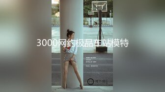 3000网约极品车站模特