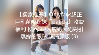 【獨家推薦】Onlyfans超正巨乳苗條正妹『palida』收費福利 極品S級人瘦奶大絕對引爆妳的眼球 超清原版 (3)