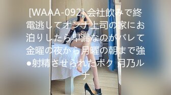 【有码】気がつけばセックスレス…40代男たちの人生二度目の筆おろし 枢木あおい×阿部乃みく×篠宮ゆり