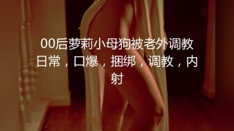 主观视角单挑巨乳家庭主妇Housewifes1on1系列早期资源合集第二弹【48V】 (28)