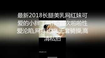 最新2018长腿美乳网红妹可爱的小胖丁新作-首次啪啪性爱沦陷,网袜约炮,无套骑操,高清私拍