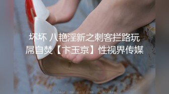 坏坏 八艳淫新之刺客拦路玩屌自焚【卞玉京】性视界传媒